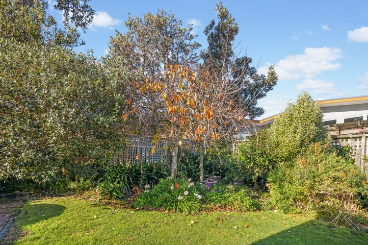 6 Raupo Street Hataitai_14