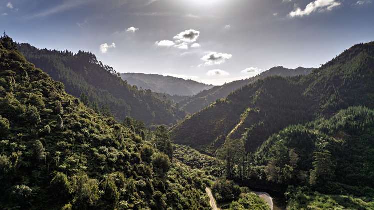 250 Pakihi Road Opotiki_51