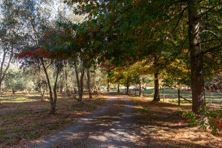 16 Parkers Road Carterton_23