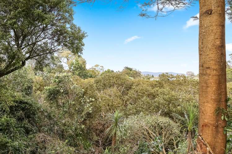 3/36 Daytona Road Henderson_28