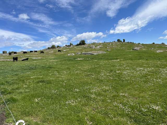 255 Fortification Rd Kakanui_4