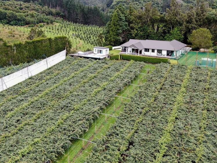 419b Joyce Road Pyes Pa_28