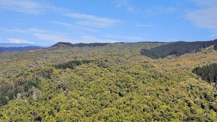 700 Burma Road Maraetotara_7