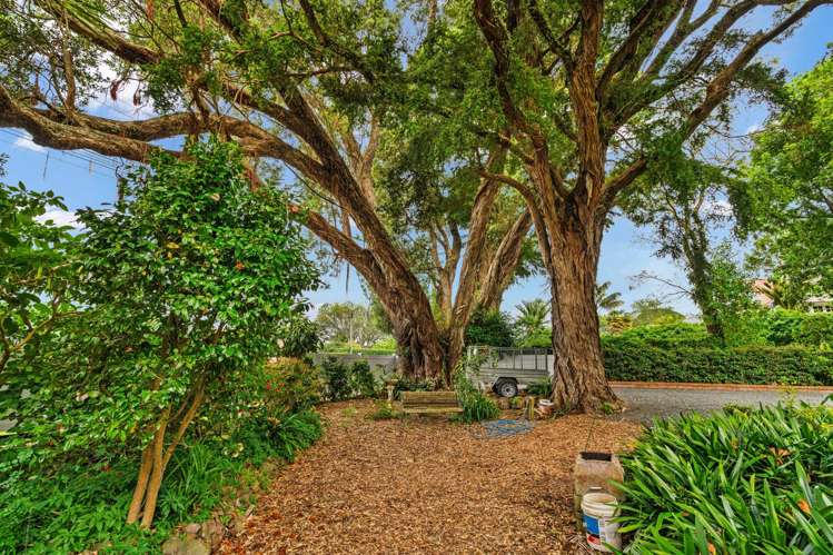 19 Mill Road Regent_30