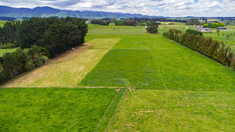 29 Ruahine Street Dannevirke_33