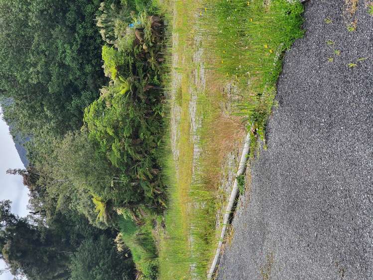 5 Middleton Place Franz Josef Glacier_16