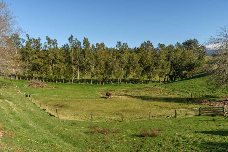 67 Laurel Drive Whakamarama_14