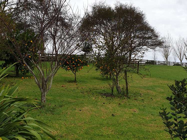 91 Jumna Road Maungaturoto_2