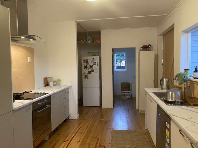 16a Turnbull Crescent Morrinsville_2