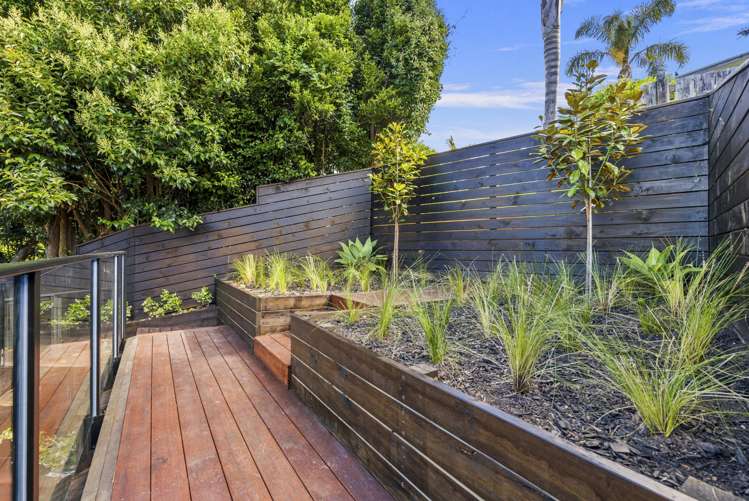 61a Churchill Road Murrays Bay_3