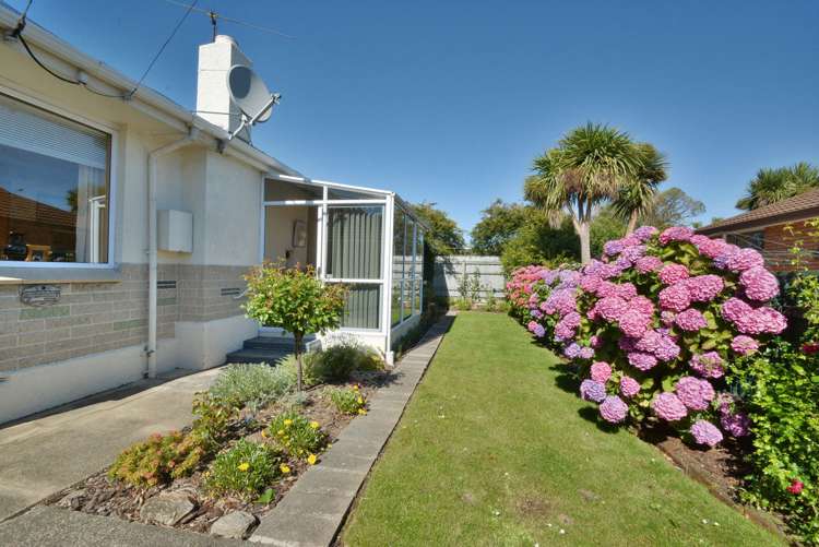 141 Macandrew Road South Dunedin_15