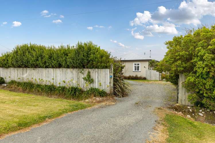 67 Seddon Street Ward_15