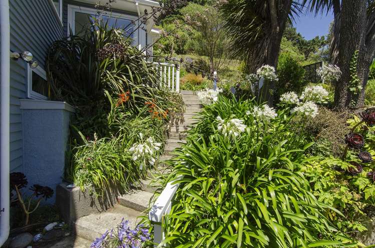 105 View Road Houghton Bay_19