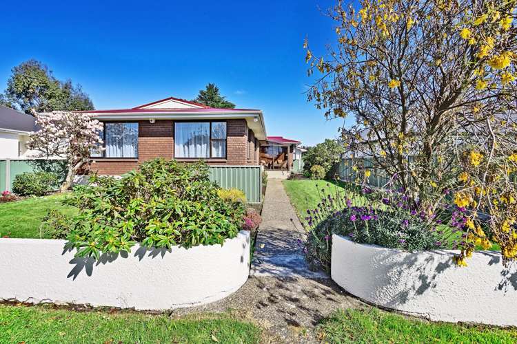 24 Palmer Street_1