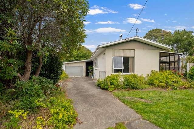 15 Havelock Street Renwick_1