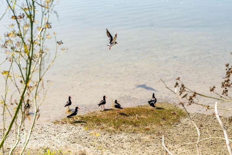 15 Fisher Street Paparoa_36