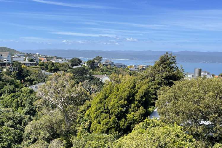 79 Nicholson Road Khandallah_18