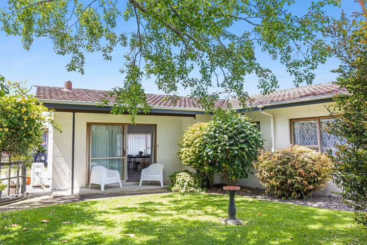 6 Pukatea Place Matamata_6