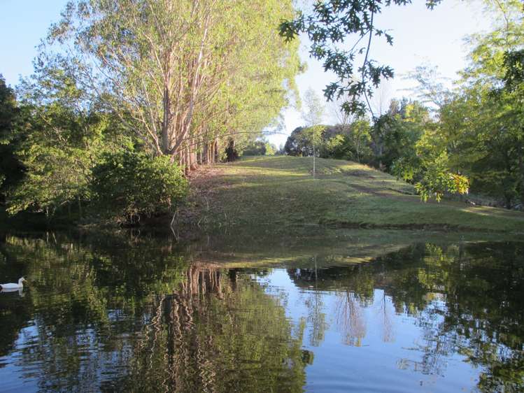 2938 Puketitiri Road Central Hawkes Bay Coastal_8