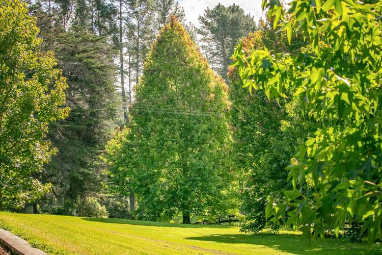 339 Ahuroa Road Puhoi_33