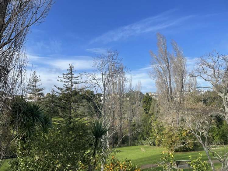 17B Chatfield Place Remuera_14