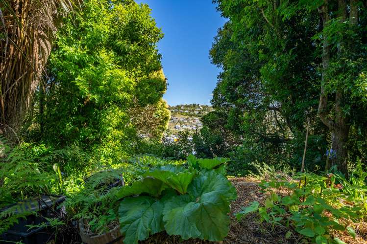 80 Mount Street Nelson South_14