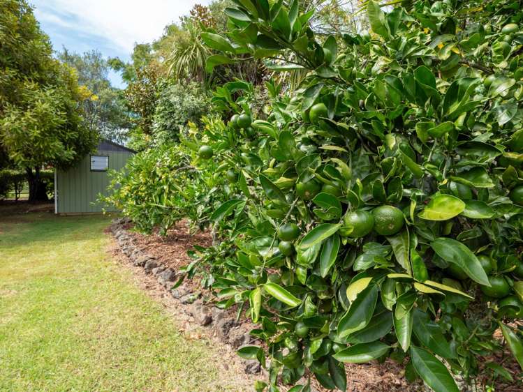 6 Campbell Lane Kerikeri_21