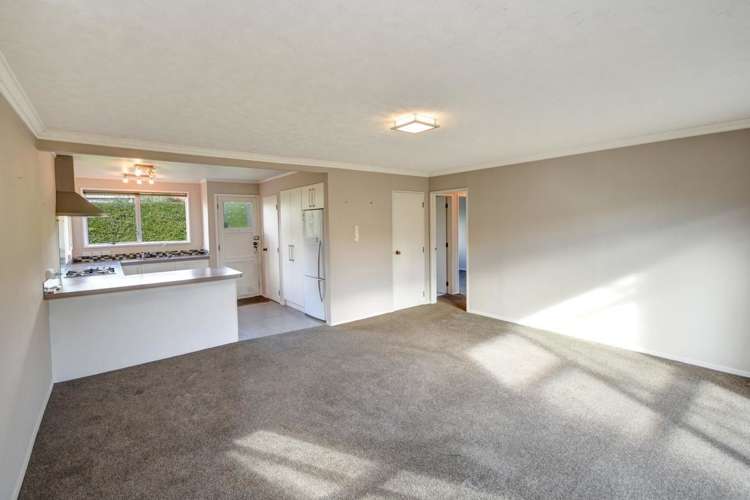 84b Hargest Crescent Saint Clair_5