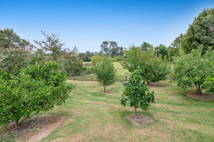 786 South Head Road South Head_38