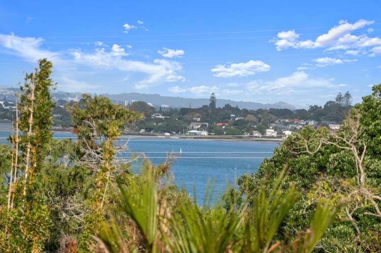 78a Goodall Street Hillsborough_24