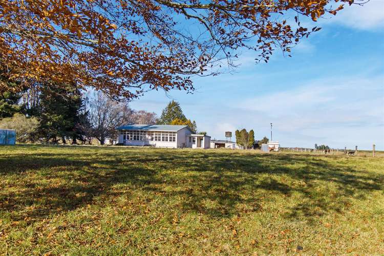 918 Hunter Makikihi Road Hunter_19