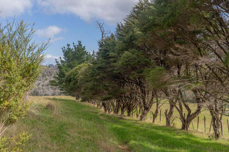 425n Boat Harbour Road Whenuakite_15