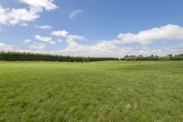 132 Kennedys Hill Road Fernside_8