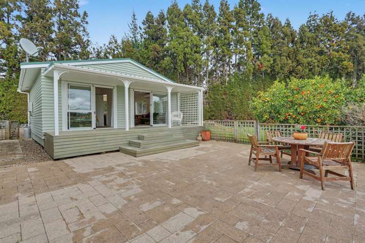 1040 Te Matai Road Te Puke_18