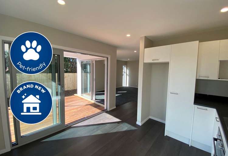 1/804 Whangaparaoa Road_0