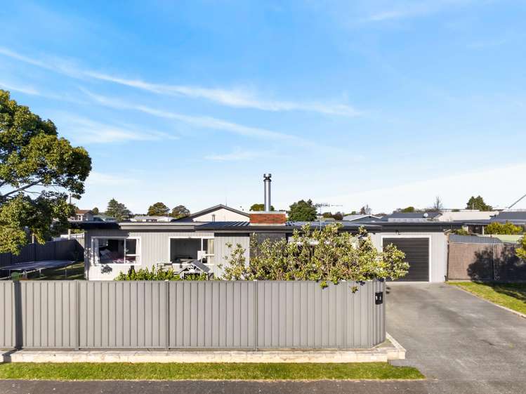 1 Arney Street Tamatea_18