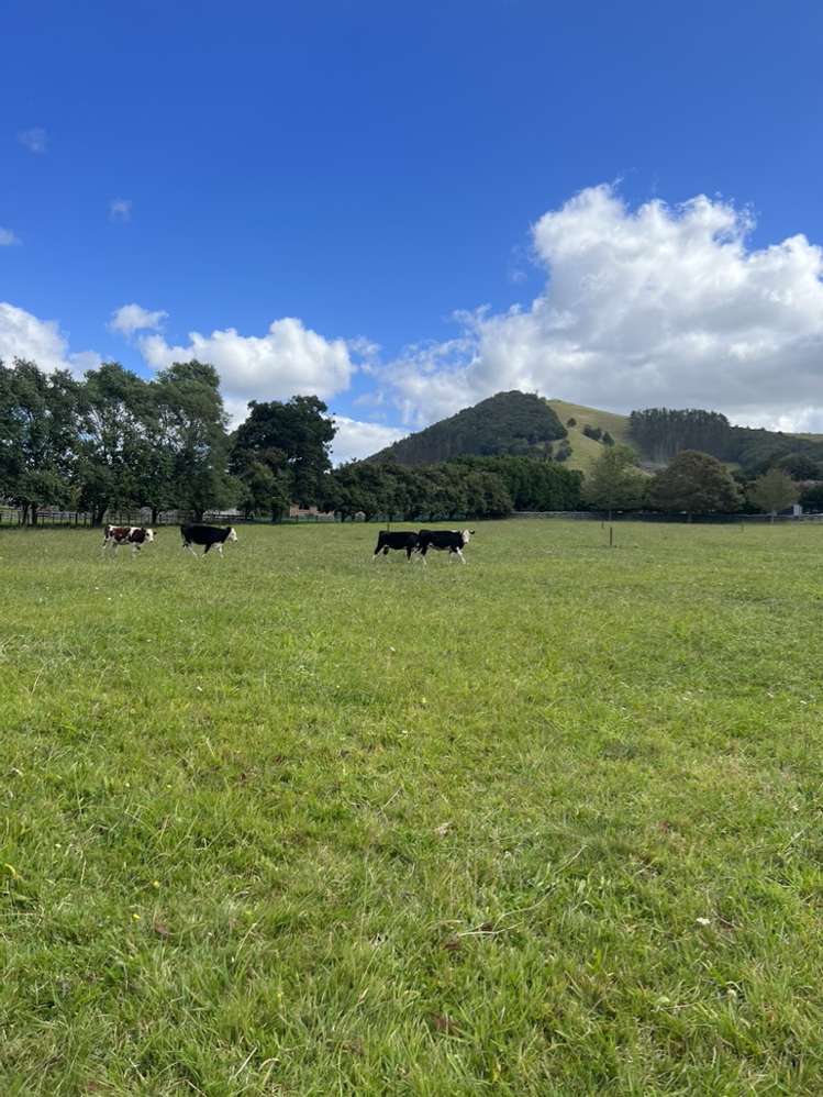 67 Millington Road Maunu_6