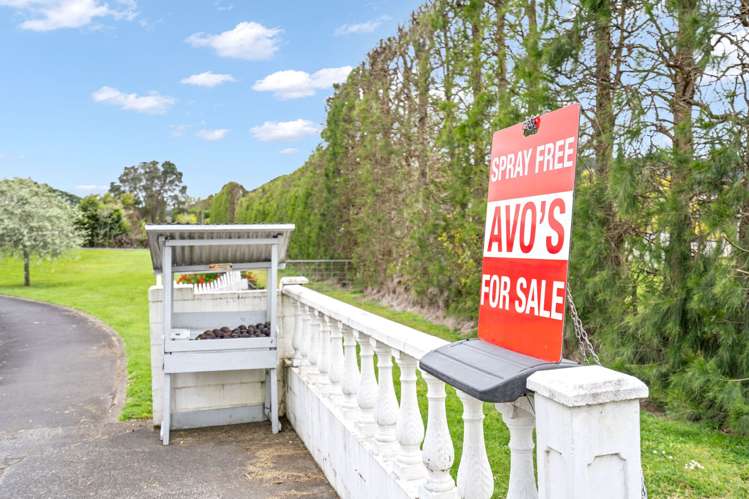 Lot 6 Brenda Gardner Way Maunu_8