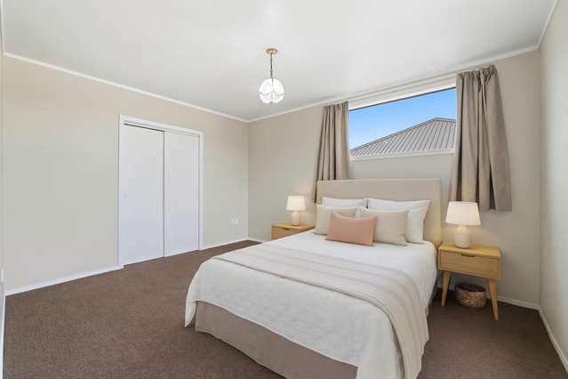 3 Arawa Street Welbourn_4