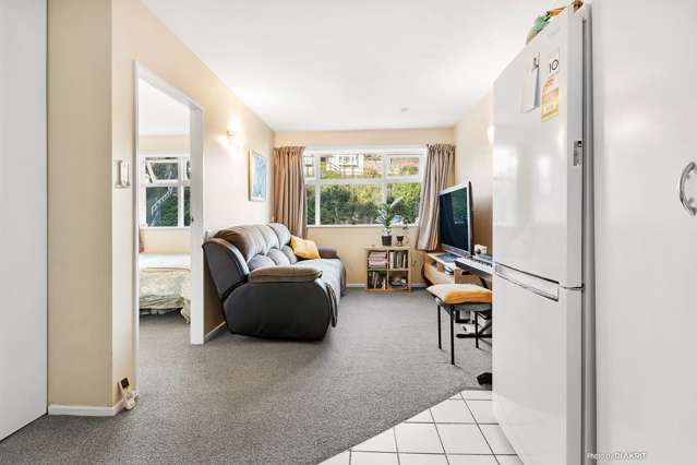 6/51 Adams Terrace Kelburn_1