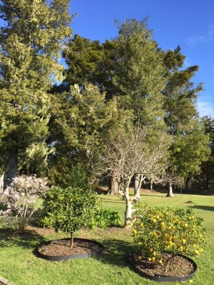 3b Kowhai Crescent Paihia_21