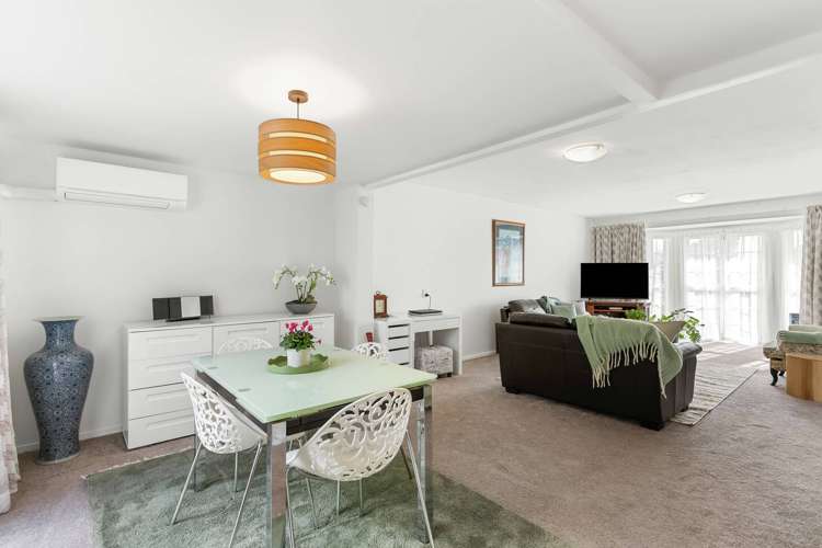 9 McAlister Place Mount Roskill_6