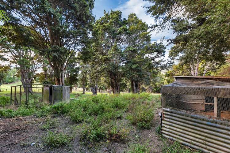 917 Springfield Road Mangapai and Surrounds_5