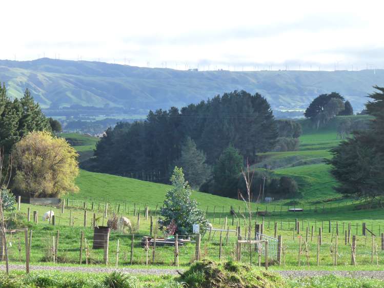 788 Ridge Road Pahiatua_9