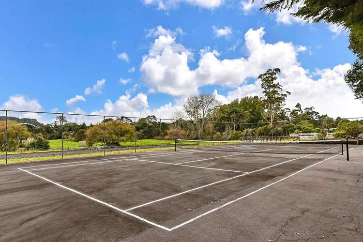 1153 Dairy Flat Highway Dairy Flat_25