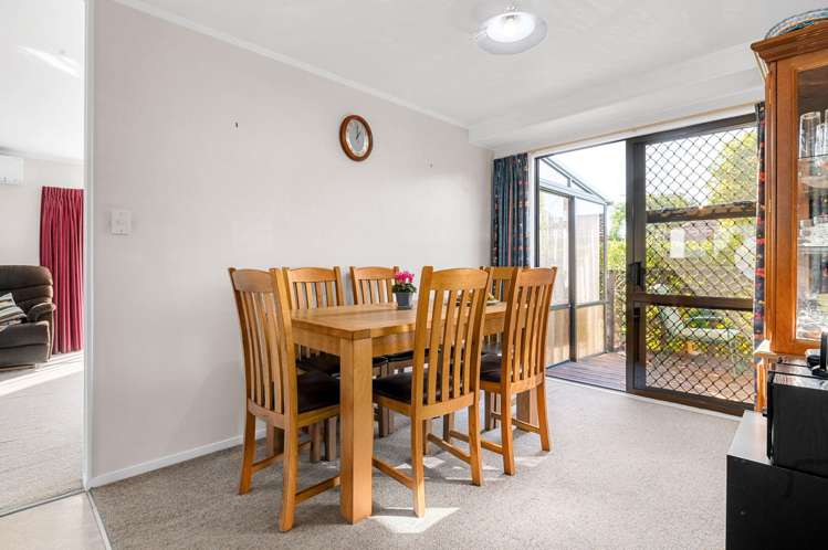 17 Hibiscus Avenue Hamilton Lake_8