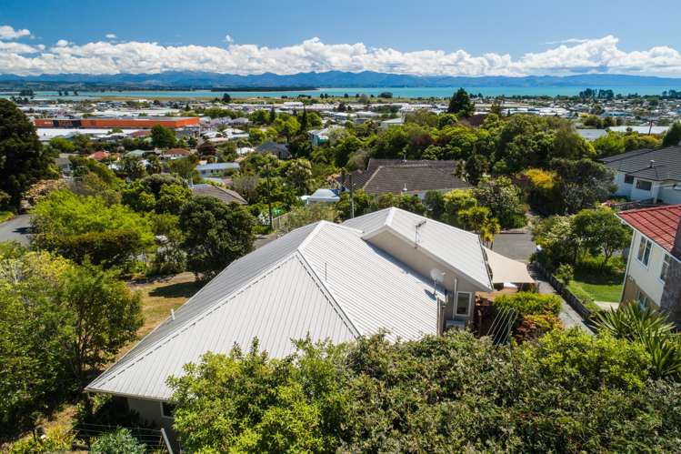 20 Greenhill Road Wakatu_16