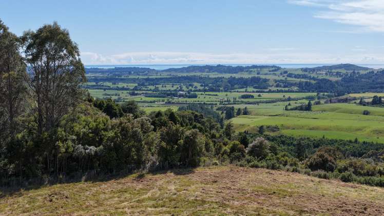 1419 Collingwood-Bainham Main Road Collingwood_12