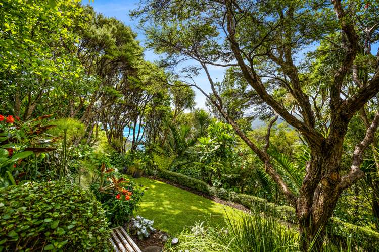 66 Piha Road Piha_43