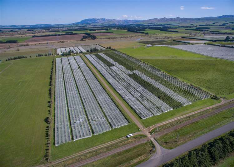 73 Mackenzies Road Waipara_7